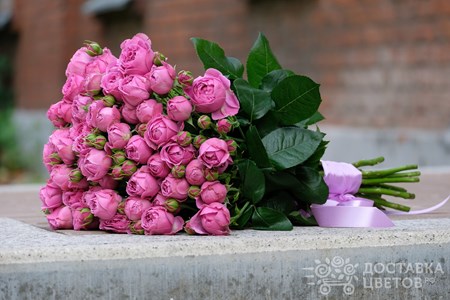 Букет из 15 кустовых пионовидных роз "Мисти Баблс"